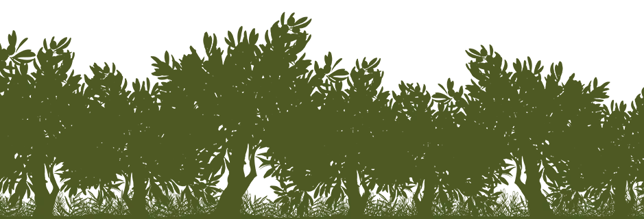 Cooperativa Lumpiaque