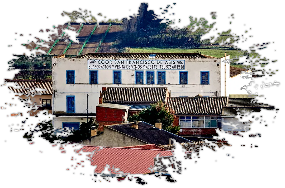 Coop. San Francisco de Asís